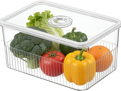Dailygoods- Voedselvoorraadcontainer met verzegeld deksel - Opbergdoos - Koelkastorganisator - Kunststof - Grote capaciteit - 24,5 x 16,2 x 11,5 cm