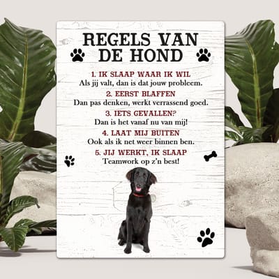 Spreuken - Flatcoated Retriever - Regels Van De Hond - Spreuken Bordjes - Spreukenbord - Tekstborden - Cadeau - Hondenras