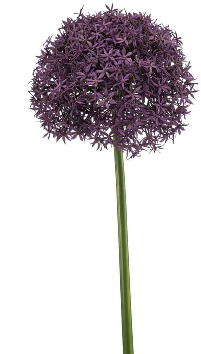 Emerald - Kunstbloem Allium XL paars 90cm - Kunstplant voor binnen