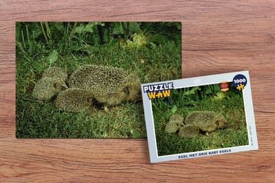 Puzzel Egel met drie baby egels - Legpuzzel - Puzzel 1000 stukjes volwassenen