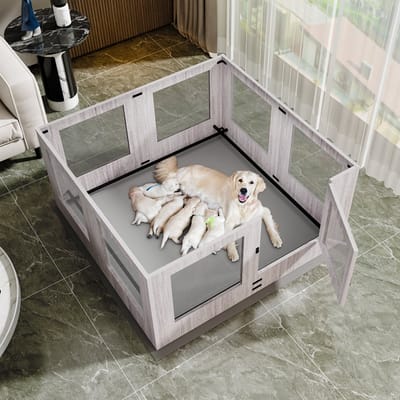 BingoPaw Luxe Hondenren & Werpkist - Met 3mm Veiligheidsglas & Anti-doodligstang - Lichtgrijs (120x119x60cm)
