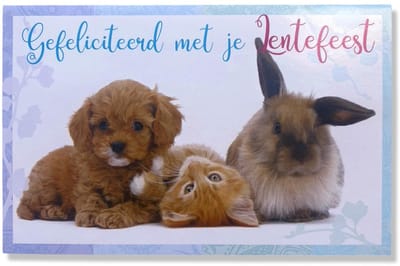 Lentefeest Wenskaart Schattige Dieren - 12x17cm - Gevouwen kaart inclusief envelop