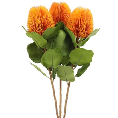 Kunstbloemen, Banksia, Proteaceae Oranje L58cm H6cm 3 stuks
