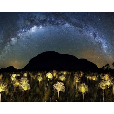 5D diamant schilderij volledige vierkante boor Home Decor DIY diamant borduurwerk 20X30CM black