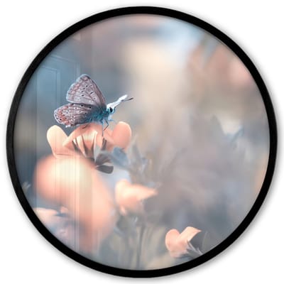 Poster in lijst Rond - Fotolijst 40x40 cm - Posters - Bloemen - Vlinder - Natuur - Botanisch - Ronde posterlijst zwart - Decoratie - Wanddecoratie woonkamer - Muurdecoratie slaapkamer