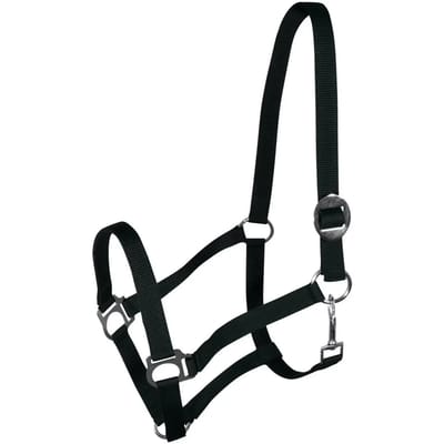 Halster voor paarden York Harmony