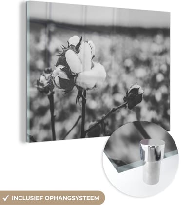 MuchoWow® Glasschilderij 40x30 cm - Schilderij acrylglas - Katoen - Planten - Zwart - Wit - Foto op glas - Schilderijen