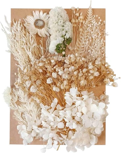 Gedroogde bloemen - bladeren - geperste gedroogde bloemen - gemengd - meerdere natuurlijke decoratieve kunstbloemen - gedroogde bloemen voor knutselen - harstaarten - doe-het-zelf sieraden - nagelkunst - creatief knutselmateriaal