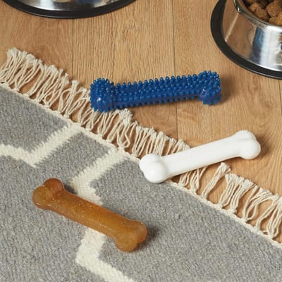 Kauwspeelgoed voor puppy's starterset - Duurzaam en gezond voor tandverzorging