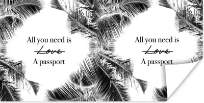 Poster Spreuken - Quotes - All you need is a passport - Paspoort - 120x60 cm