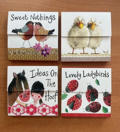 Alex Clark Mini Magnetic Notepad's - Magnetische notitieblokjes 4 stuks