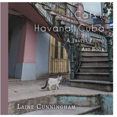 Cats Of Havana, Cuba - Travel Photo Art - Laine Cunningham