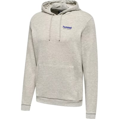 Hooded sweatshirt Hummel LGC Austin