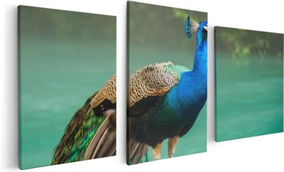 Artaza Canvas Schilderij Drieluik Kleurrijke Pauw Bij Het Water - 120x60 - Foto Op Canvas - Canvas Print