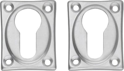 Intersteel Rozet met profielcilindergat chroom mat