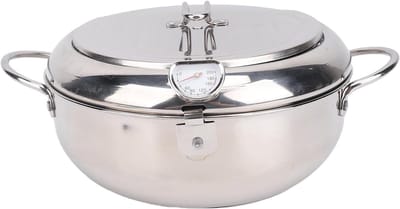 Frituurpan Roestvrij Staal - Friteuse Keuken - Thuis Frituren - Ingebouwde Thermometer - 32 Liter Capaciteit - Zilverkleurig