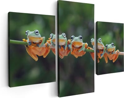 Artaza Canvas Schilderij Drieluik Groep Kikkers op een Tak - 90x60 - Foto Op Canvas - Canvas Print
