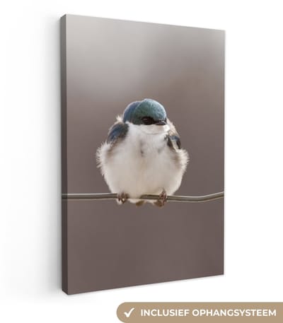 Canvas schilderij 20x30 cm - Wanddecoratie Vogels - Dieren - Draad - Portret - Muurdecoratie woonkamer - Slaapkamer decoratie - Kamer accessoires - Schilderijen op canvas