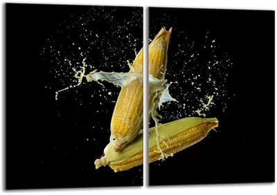 TMK ArtDeko Glasplaat Serie - Beschermplaat voor Fornuis - 2x 40x52cm - Gehard Glas - Hygienisch