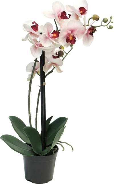 Bellatio Design Orchidee bloemen kunstplant Bora - bloemen/bloemetjes - roze - H50 cm - Phalaenopsis