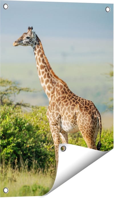 Gards Tuinposter Giraffe in het Wild tussen de Struiken - 40x60 cm - Tuindoek - Tuindecoratie - Wanddecoratie buiten - Tuinschilderij
