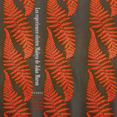 Jako Maron - The Electro Maloya Experiments Of Jako Maron (2 LP) (Limited Edition)