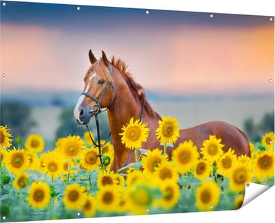 Gards Tuinposter Bruin Paard tussen de Zonnebloemen - 180x120 cm - Tuindoek - Tuindecoratie - Wanddecoratie buiten - Tuinschilderij
