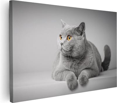 Artaza Canvas Schilderij Britse Kortharige Kat - 30x20 cm - Klein - Muurdecoratie Dierenkop - Wanddecoratie Woonkamer - Kamer Accessoires
