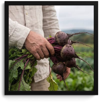 Poster in lijst - Fotolijst 40x40 cm - Posters - Bieten - Vers - Moestuin - Posterlijst zwart - Decoratie - Wanddecoratie woonkamer - Muurdecoratie slaapkamer