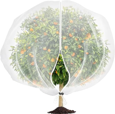 KZQ Fruitboom Net 240x240 cm Met Ritssluiting en Trekkoord als Tuinbescherming tegen Vogels en Insecten Geschikt voor Groenten Fruit en Tomaten Duurzaam en Herbruikbaar voor Buiten Gebruik