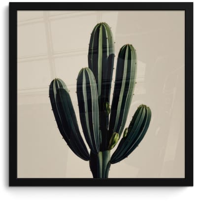 Poster in lijst - Fotolijst 40x40 cm - Posters - Cactus - Subtiel - Groen - Posterlijst zwart - Decoratie - Wanddecoratie woonkamer - Muurdecoratie slaapkamer