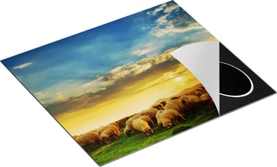 Chefcare Inductie Beschermer Kudde Schapen op het Gras bij Zonsondergang - 60x50 cm - Afdekplaat Inductie - Kookplaat Beschermer - Inductie Mat