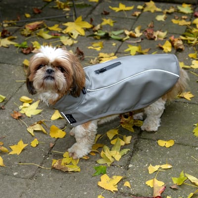 Dogs&Co Honden Regenjas Raindog Grey Maat S Ruglengte 40CM