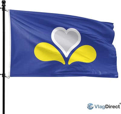 VlagDirect - Brusselse vlag - Brussel vlag - 90 x 150 cm.