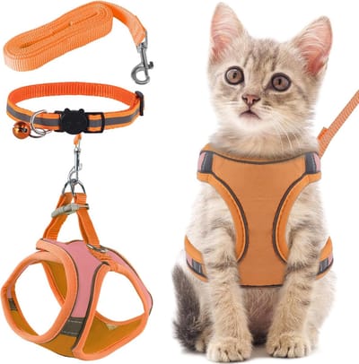 Kattentuig met kattenriem, kattenharnas met riem, anti-ontsnapping, verstelbaar kattenharnas met harnas voor katten, oranje met reflecterende strepen (S, oranje)