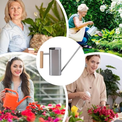 Metalen Gieter - Waterkoker Planten - Planten Water Geven - Lange Roestvrijstalen Tuit - 800 ml - Zilver