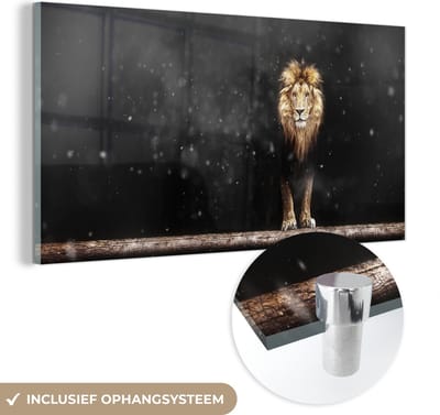 MuchoWow® Glasschilderij 40x20 cm - Schilderij acrylglas - Leeuw - Sneeuw - Portret - Foto op glas - Schilderijen