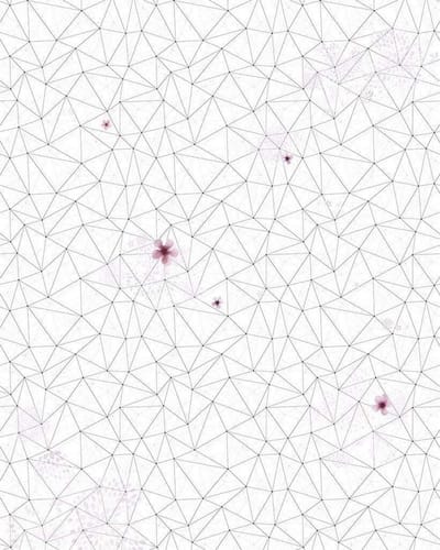 Fotobehang - Cherry Blossom 200x250cm - Vliesbehang