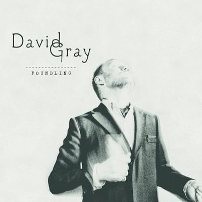 Foundling - David Gray