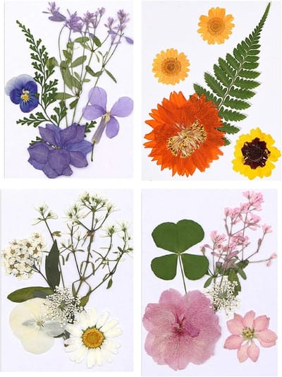 Drogen Bloemen voor Epoxyhars - Natuurlijke Dried Flowers voor DIY Projecten en Scrapbooking