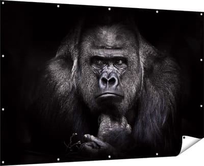 Gards Tuinposter Gorilla - Zwart Wit - 180x120 cm - Tuindoek - Tuindecoratie - Wanddecoratie buiten - Tuinschilderij