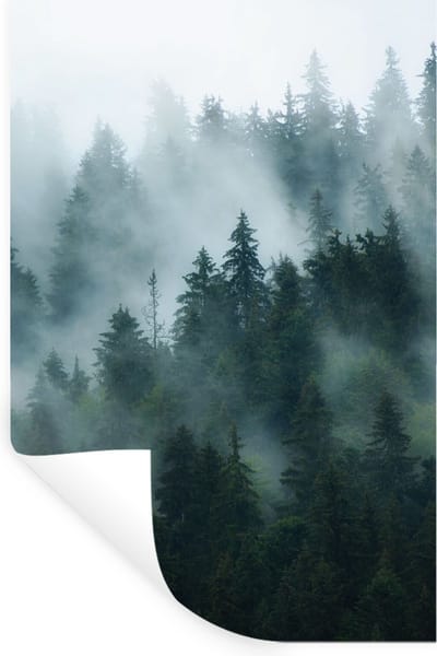Muurstickers - Sticker Folie - Mist - Bomen - Bos - 20x30 cm - Plakfolie - Muurstickers Kinderkamer - Zelfklevend Behang - Zelfklevend behangpapier - Stickerfolie