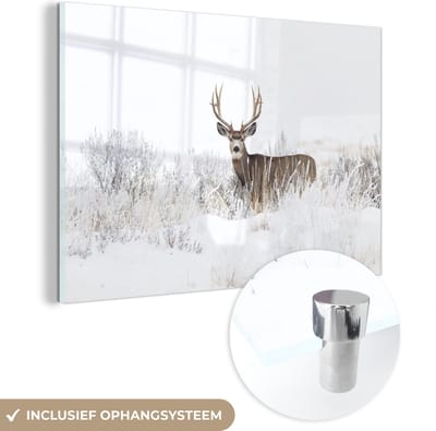 MuchoWow® Glasschilderij 150x100 cm - Schilderij acrylglas - Hert - Winter - Sneeuw - Dieren - Seizoenen - Wit - Foto op glas - Schilderijen