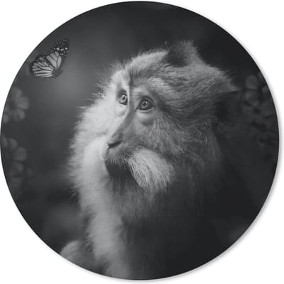 Muismat rond 20x20 cm - Mousepad Vlinder - Aap - Natuur - Zwart - Wit - Ronde muismatten