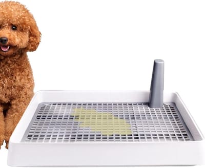 Hondendienblad - Puppy Toilet - Zindelijkheidstraining - Verhoogde Rand - 38.8 x 30.9 cm - Grijs