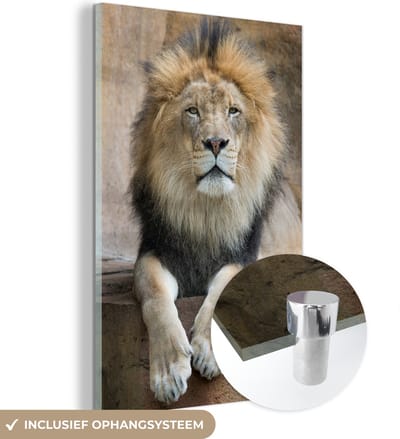 MuchoWow® Glasschilderij 40x60 cm - Schilderij acrylglas - Leeuw - Stenen - Portret - Foto op glas - Schilderijen
