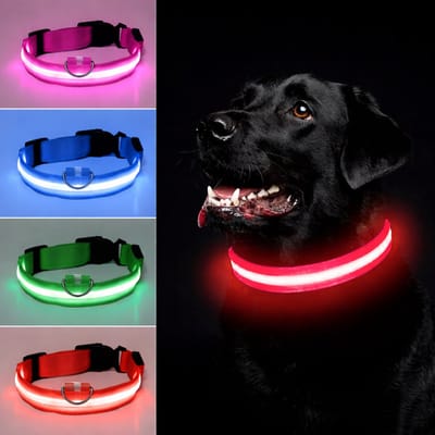 Honden halsband LED - Maat M - USB-oplaadbaar - 100% waterdicht - Rood - Halsband met verlichting - 3 verschillende standen - Lichtgevende hondenhalsband - Super helder licht - Voor huisdieren