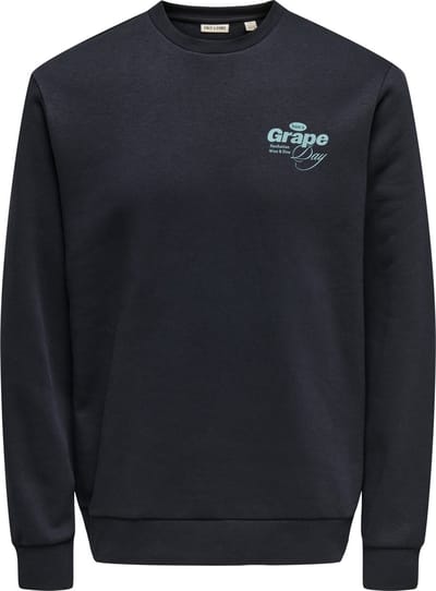 Only & Sons Alfresco Crew Neck Sweater Heren - Maat L