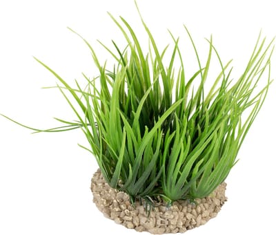Aqua Della - Aquariumdecoratie - Vissen - Helanthium 8,5x8,5x10cm Groen - 1st