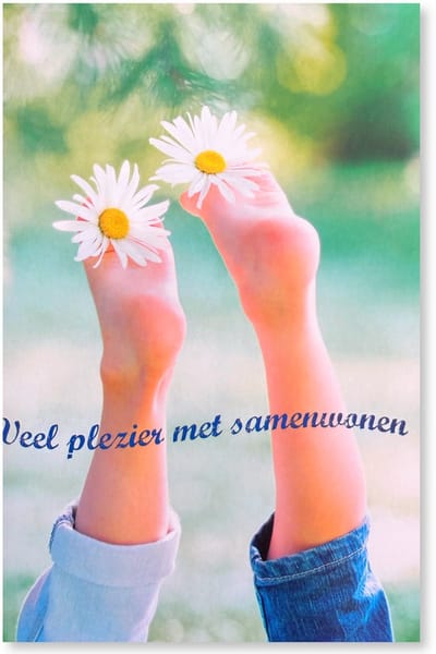 Veel Plezier met Samenwonen - Samenwonen Wenskaart - 12 x 17 cm - gevouwen kaart Inclusief envelop
